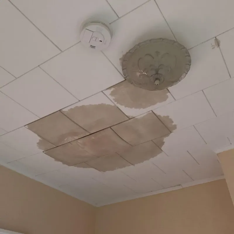 Ceiling Water Damage Repair in Harmon County, OK