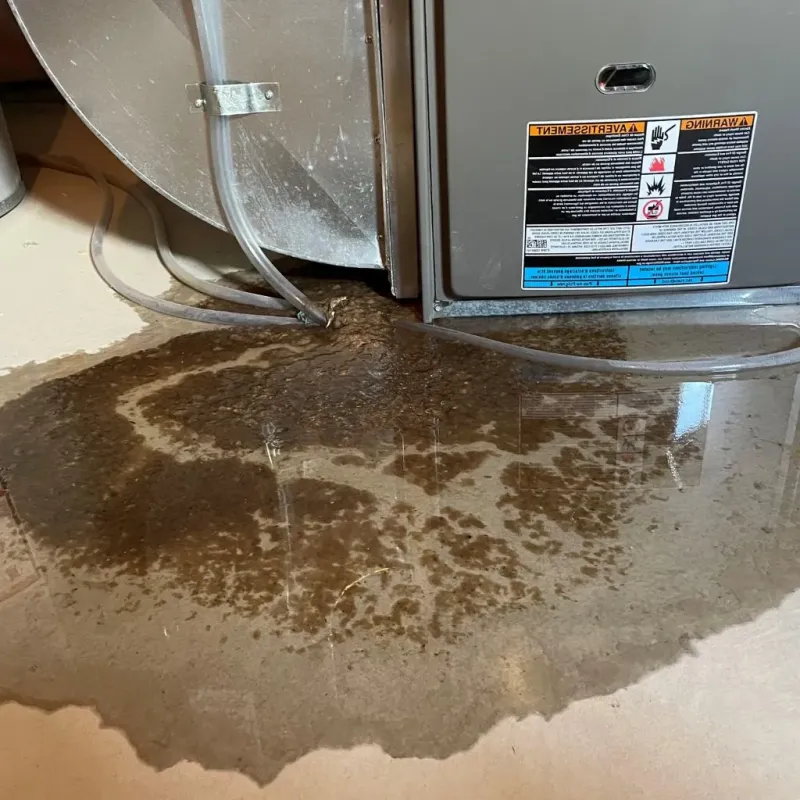 Pipe Burst and Leak Restoration in Harmon County, OK