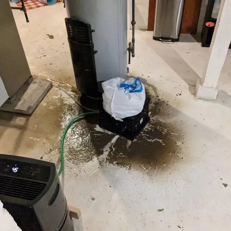 Sewage Backup Cleanup Service in Harmon County, OK